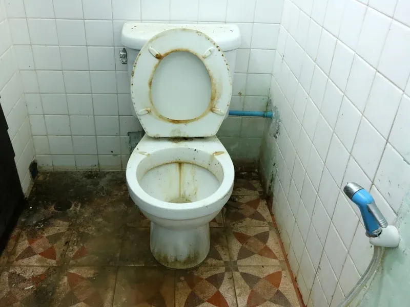 Limpeza Sindrome De Diogenes